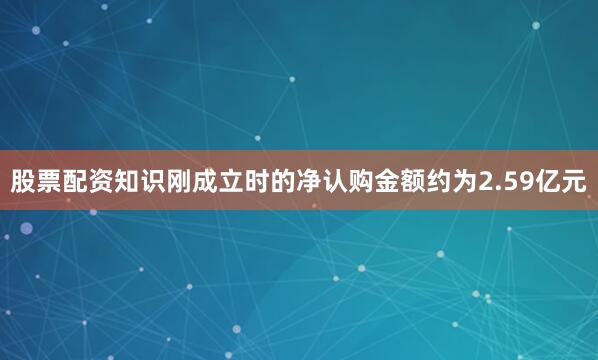 股票配资知识刚成立时的净认购金额约为2.59亿元