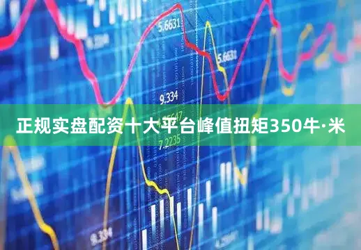 正规实盘配资十大平台峰值扭矩350牛·米