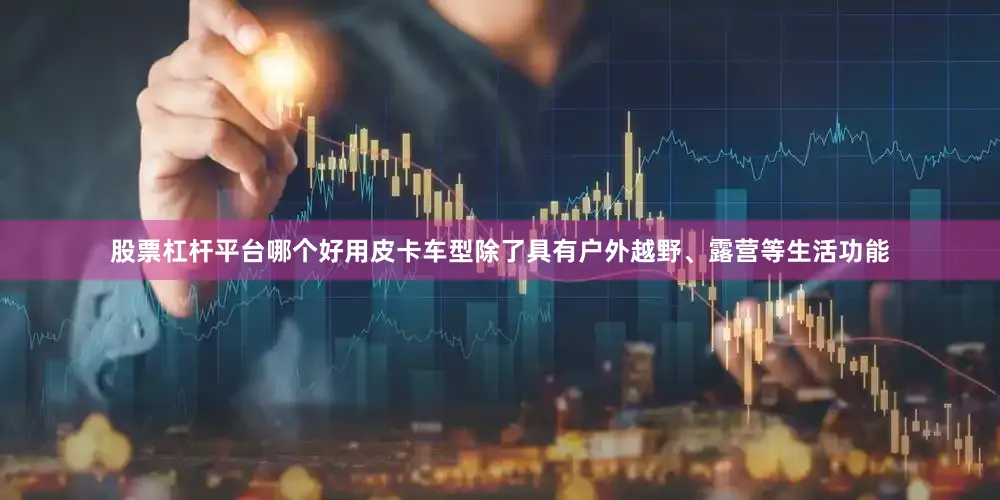 股票杠杆平台哪个好用皮卡车型除了具有户外越野、露营等生活功能